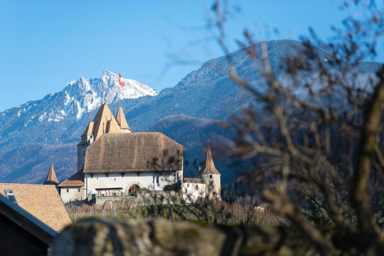 Nonanteneuf Appart Hotel Aigle - Contactless Check-In ภายนอก รูปภาพ